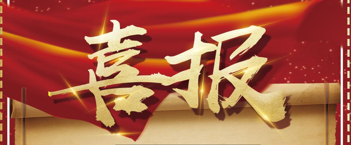 全自动蜘蛛池